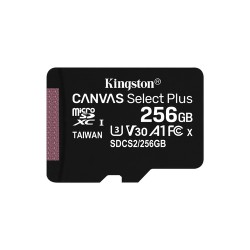 256GB micSDXC 100R A1 C10 Card+ADP